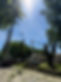 IMG_3199 (1).jpeg