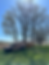 IMG_1396.HEIC