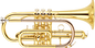 Cornet_edited_edited.png