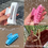Thumbnail: PHS Matching Rectangle Hair Clip - Choose your Design