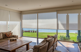 Sheer Roller Blinds