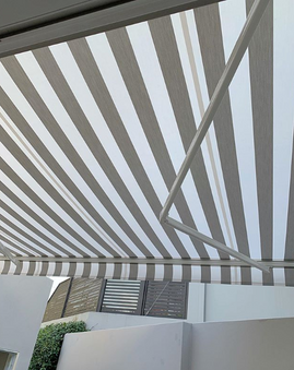 Folding arm awning