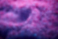PinkSaltfromSaltBed_1930x1287.jpg
