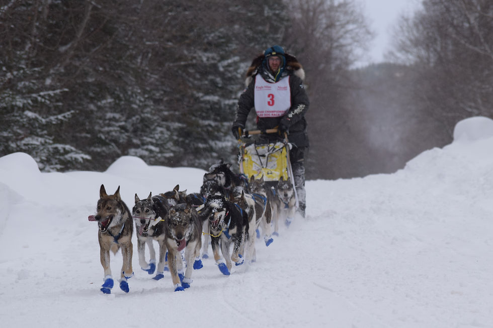 2022-02-19 14.56.59.jpg