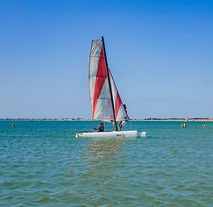 Topaz 12©Quentin Boulegon (8).jpg