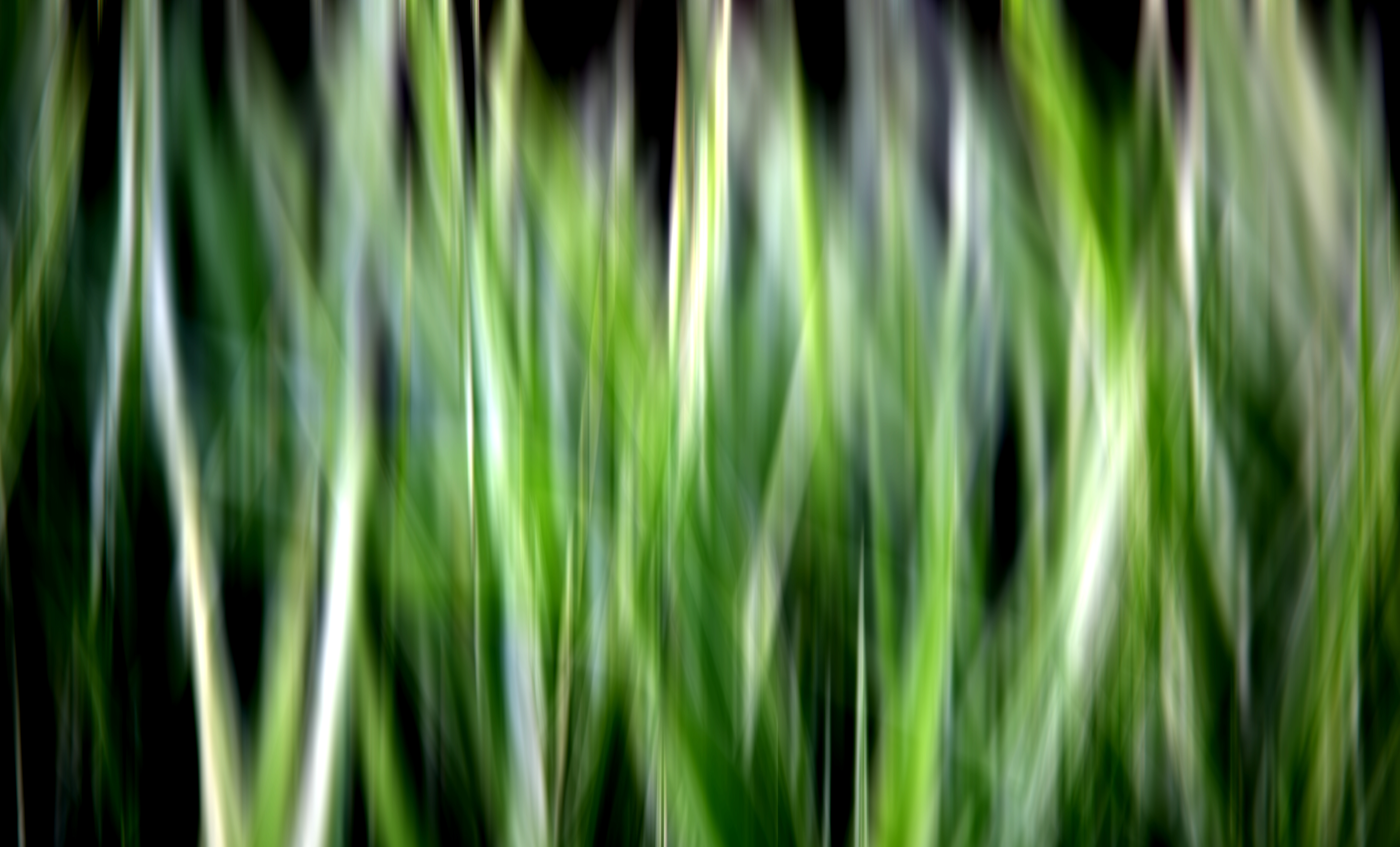Grass Lands