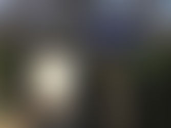 Nous aimons des promenades!