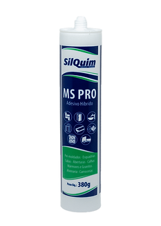 MS PRO