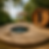 1a63e9_5674510b2c1741b18edb8e5a521d4401~mv2.png