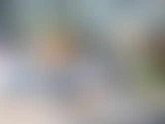 OSSERVATORIO SULLA DEVIANZA MINORILE PER RIDURRE L’ABBANDONO SCOLASTICO