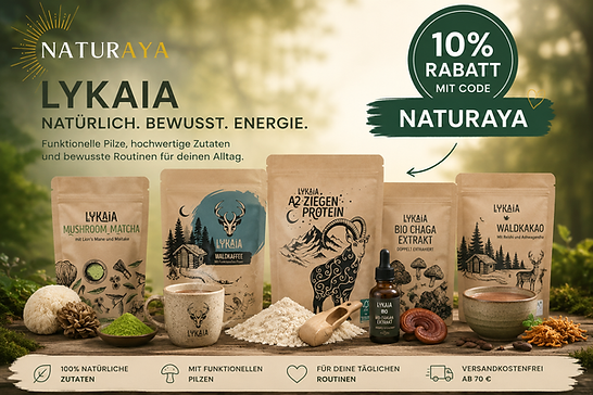 Lykaia Rabattcode NATURAYA – Waldkakao, Waldkaffee, Mushroom Matcha und funktionelle Pilze bei Naturaya