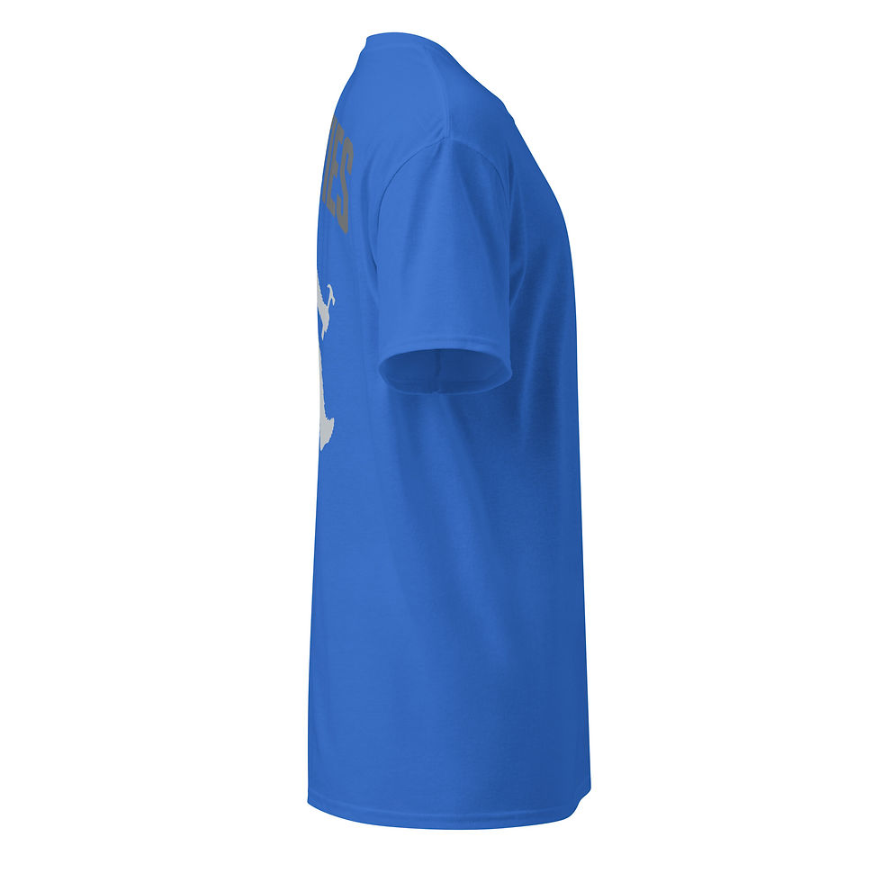 Thumbnail: Sunshine Facilities || DryBlend® T-Shirt