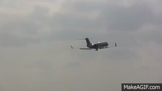 IMG_5687.GIF