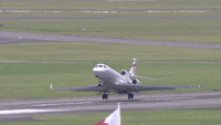 IMG_5686.GIF