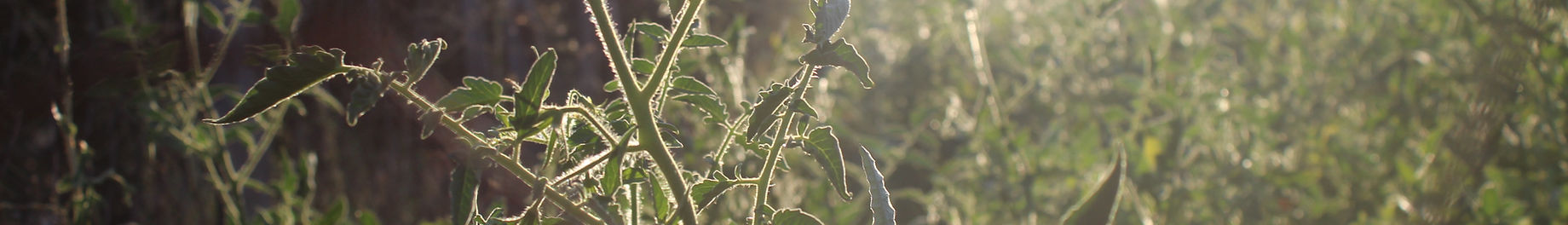 IMG_8913.JPG