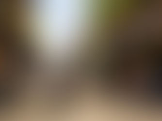 Mardi Gras: A Guide to Planning the Ultimate Luxury Experience