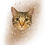 Thumbnail: Paws Cat Mug
