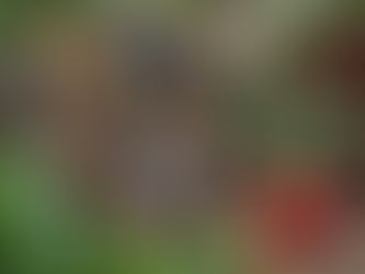 Crafting Your Career Toolkit: Essential Tools and Strategies for Professional Growth