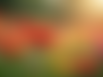 Navigating Your Career Seasons: Embracing Growth and Recovery