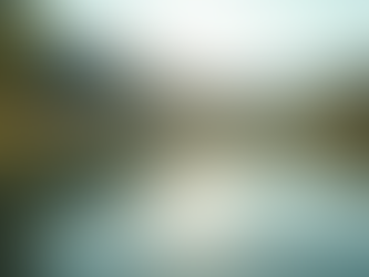 Reflection: the Missing Tool in Professional Growth