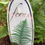 Thumbnail: Evergreen DRYOPTERIS AFFINIS FERN , 17cms Pot