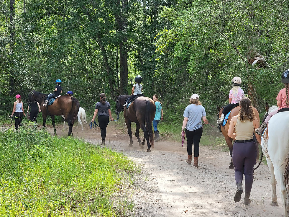 School's Out Horse Day Camp
