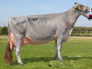 Dairy Day is just Wonderful or Wonderment!