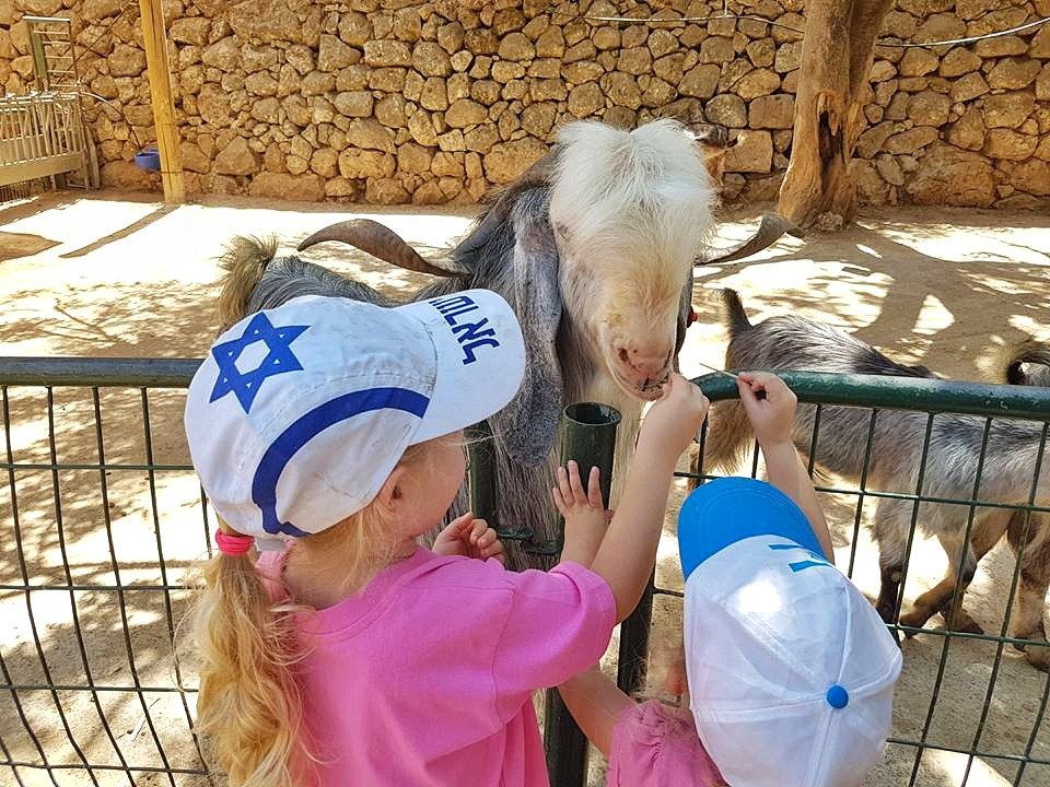 בפינת החי בעין יעל