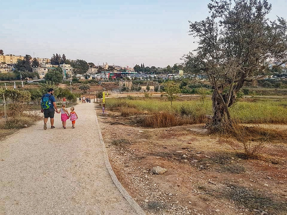 פינת טבע מדהימה באמצע העיר
