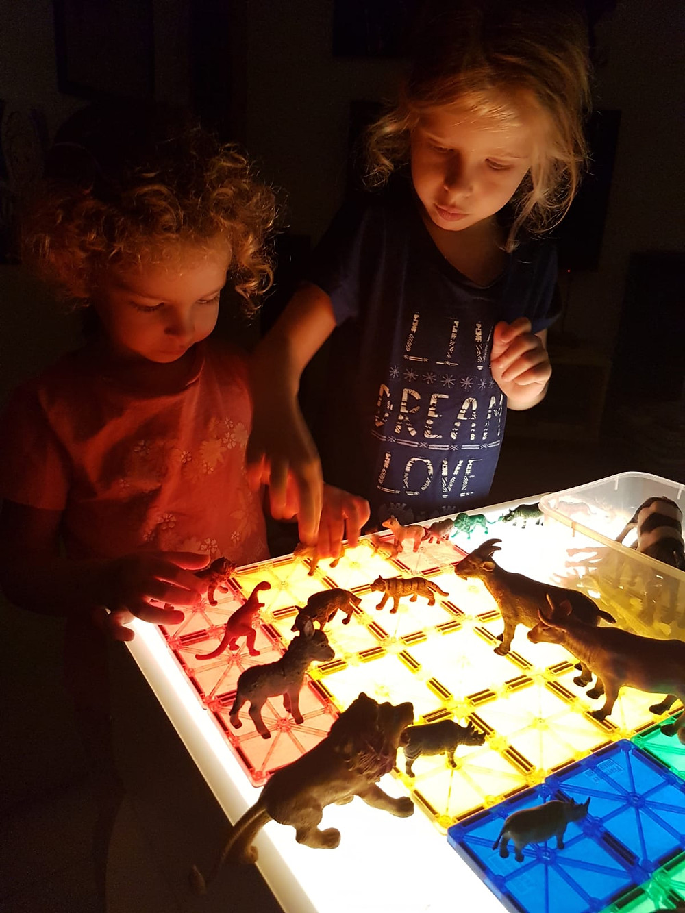 אור וגל משחקות עם מגנטים וחיות בשולחן אור