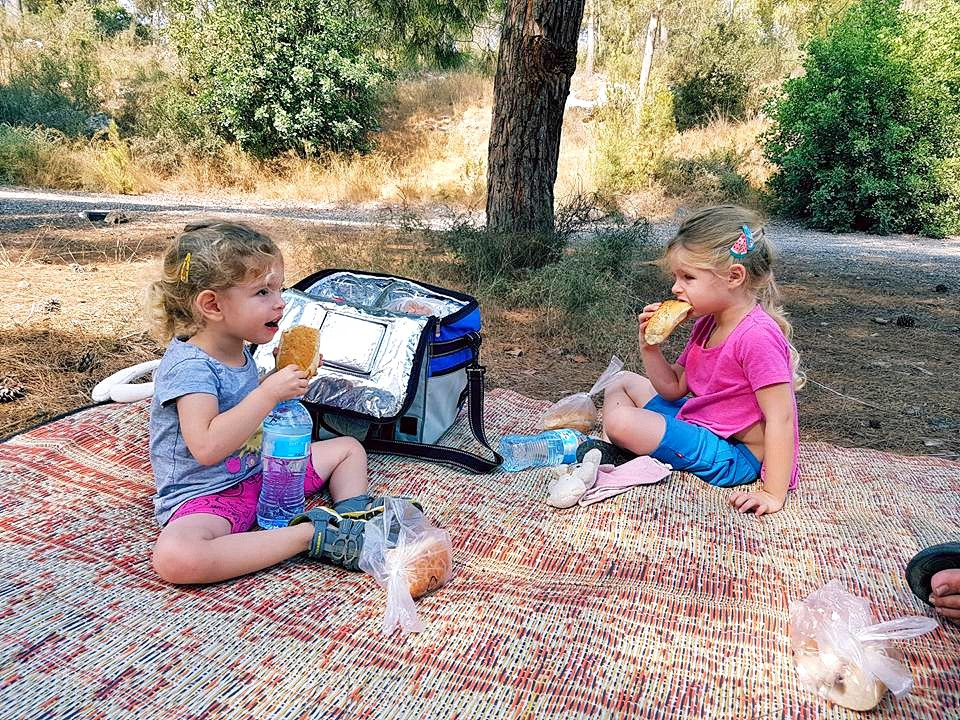 פיקניק באמצע שום מקום בדרך לירושלים