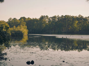 A Genealogical Analysis of the Lineage from John Poston of Pennsylvania