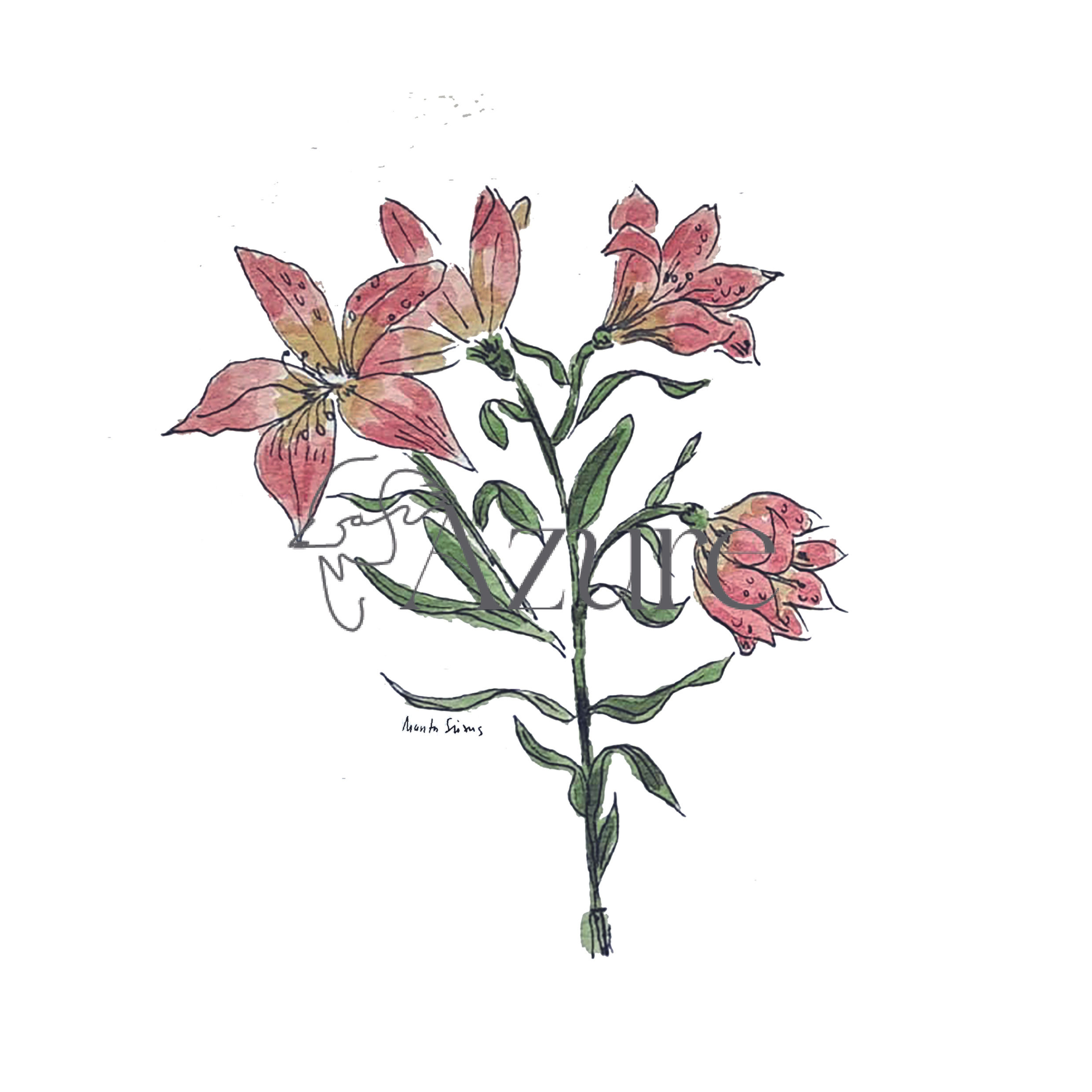 Flor 5