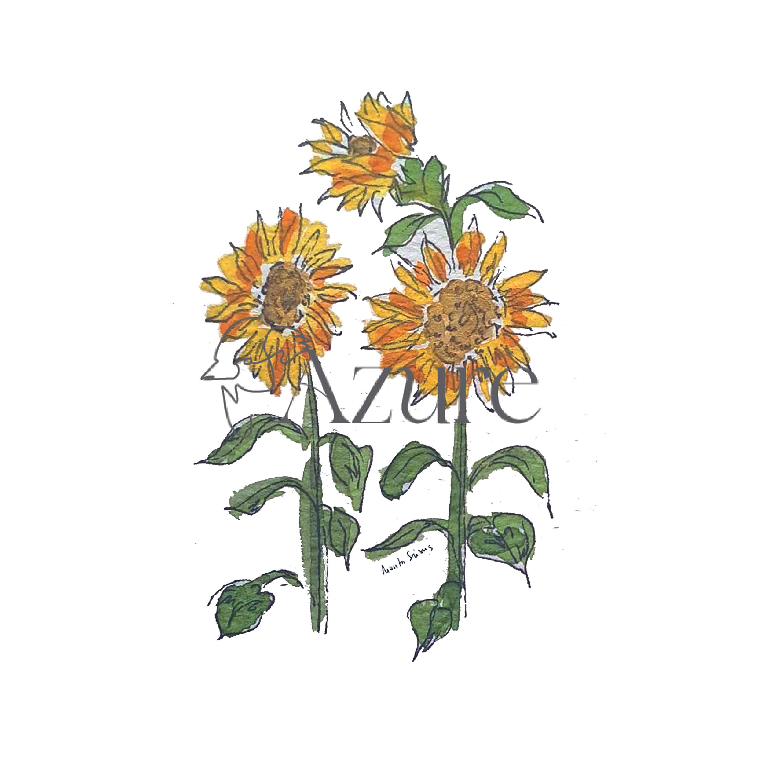 Flor 12