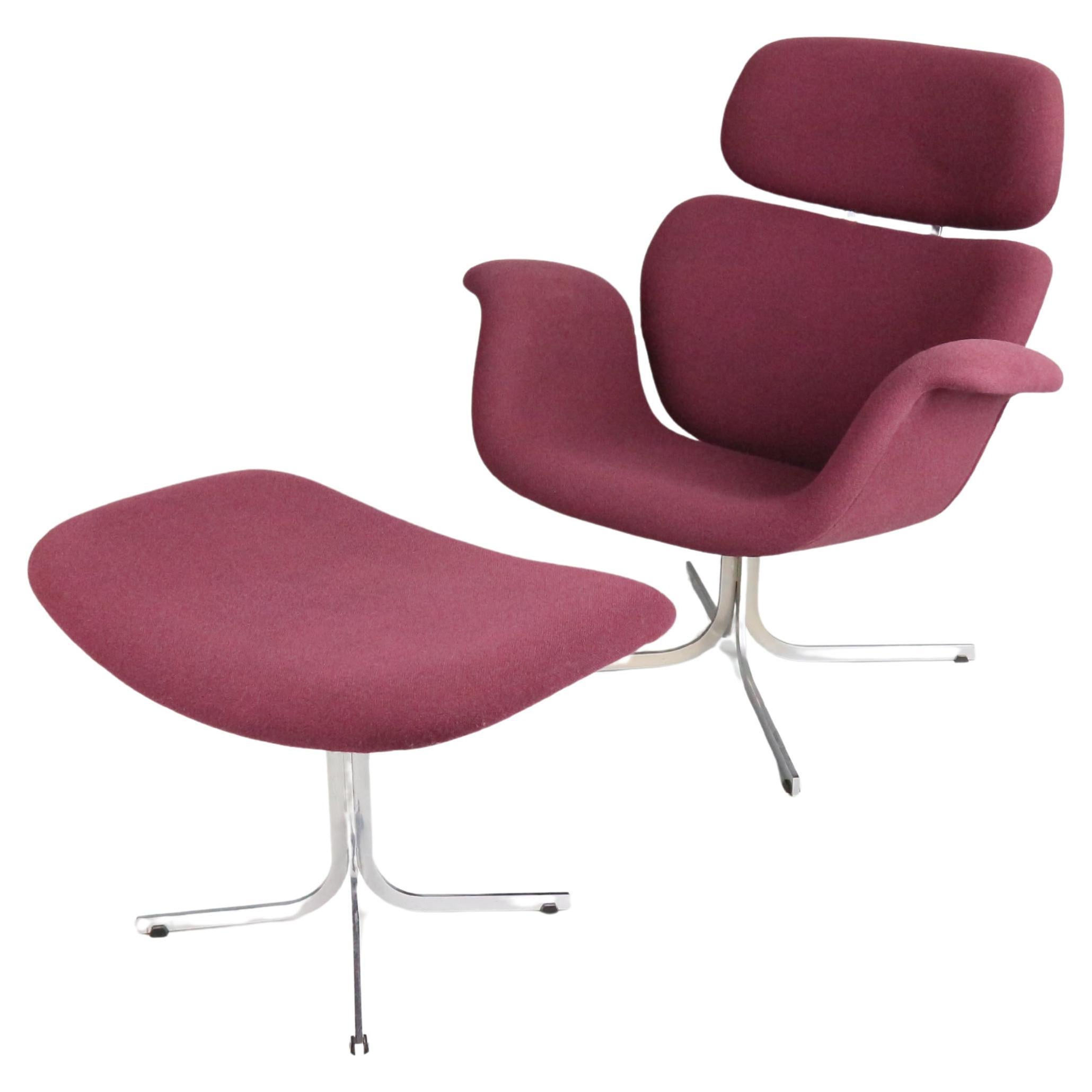 Pierre Paulin Purple Lounge Chair "Big Tulip" F551 & Ottoman, 1960's Netherlands