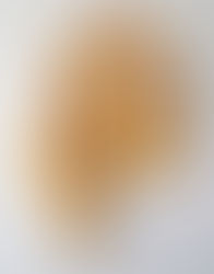 It Started with a Sketch: Sign of the Sun