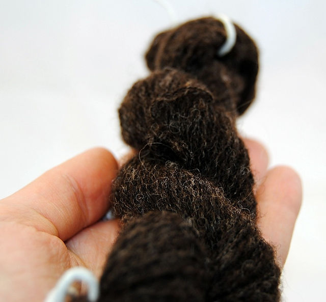 brown corriedale
