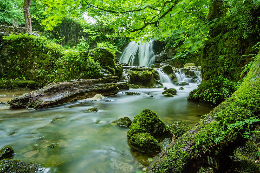 Inspiration for Soft River