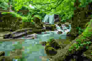 Inspiration for Soft River