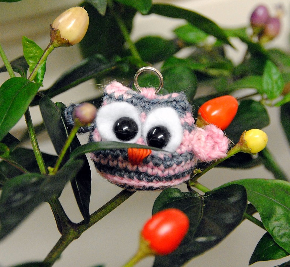 Owlets