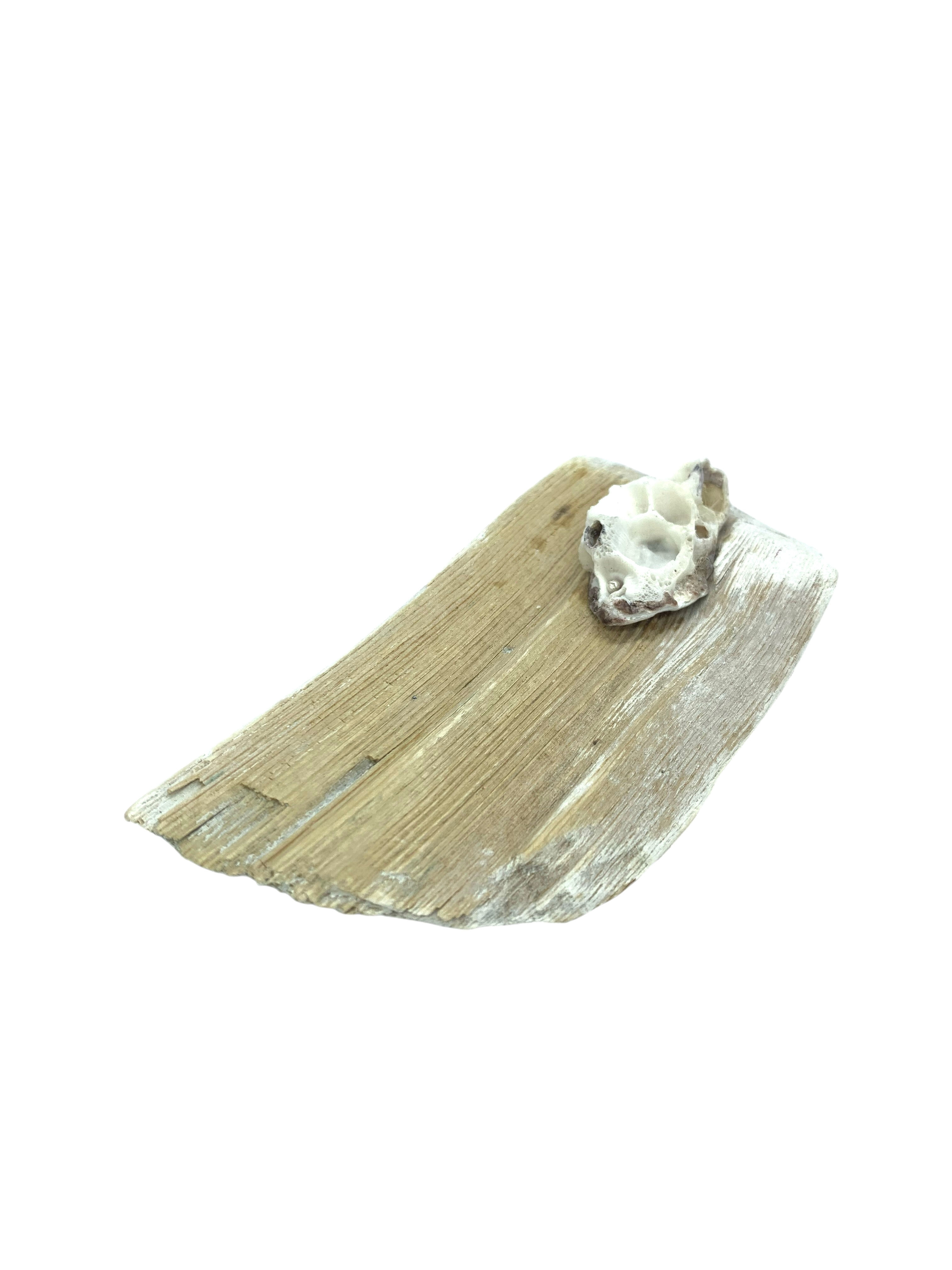 'Kekamoz' serisi broş.