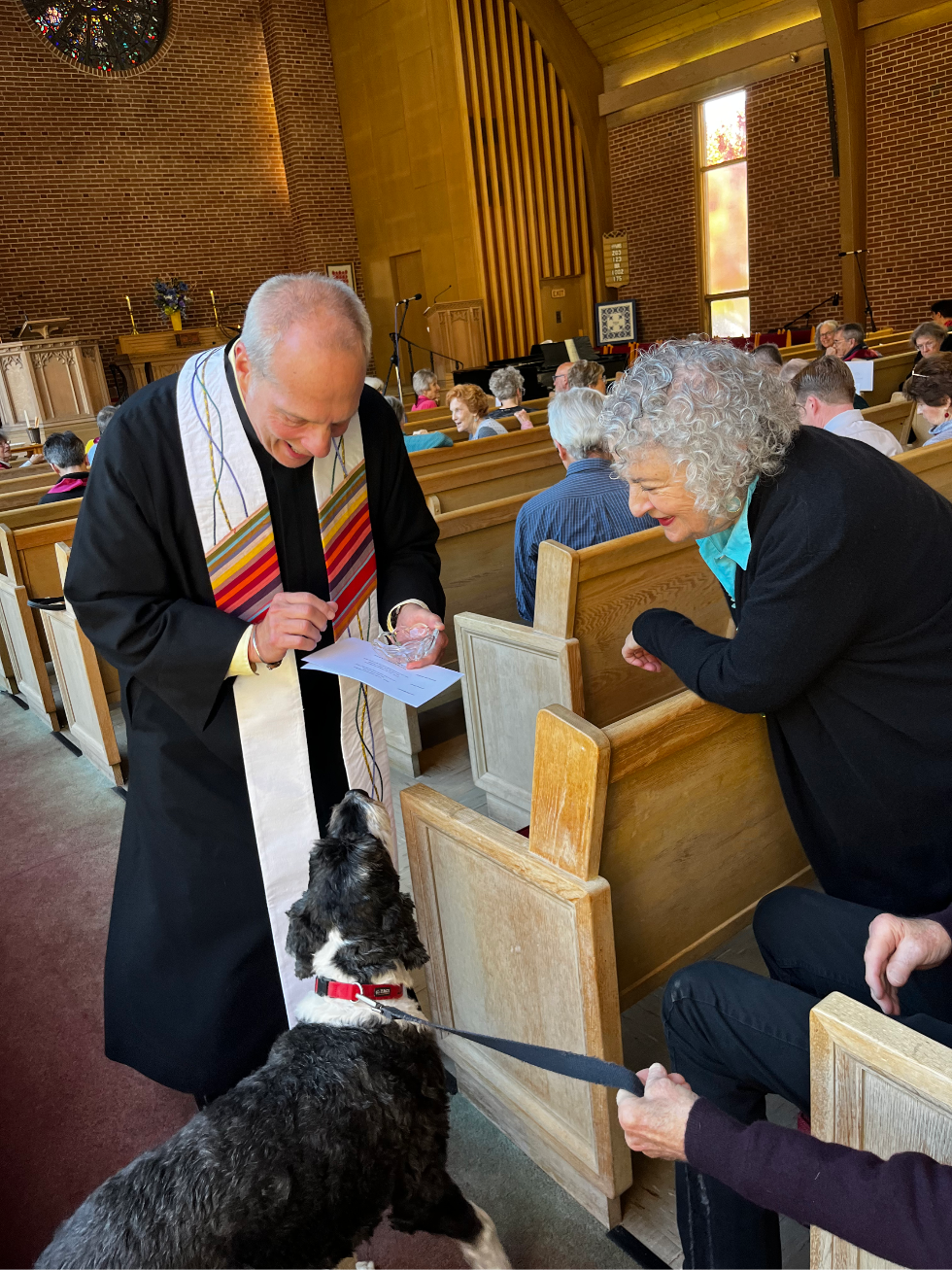Blessing of the Animals
