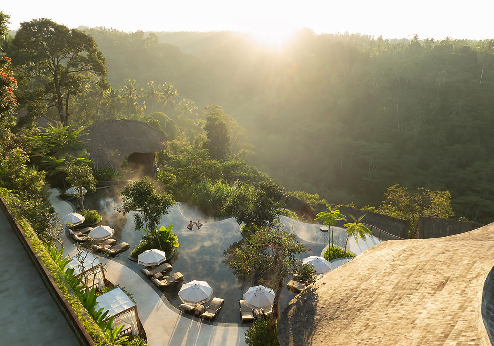 Aerial View Heated Rainforest Infinity Pool_web.jpg