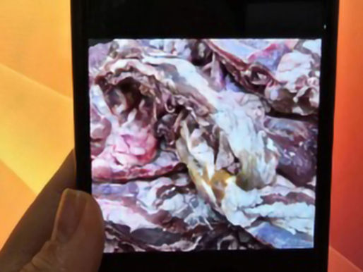 Ramai! 90 Kg Daging Babi Tidak Memenuhi Standar Masuk ke Sekolah Vietnam