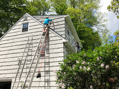 Chris on a ladder in Ridgefield