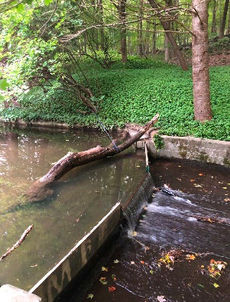 Saving a Covered Bridge in Newtown CT