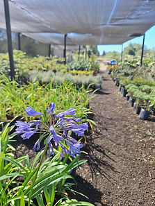 Imagen de WhatsApp 2024-03-07 a las 12.26.11_6d71fca9.jpg