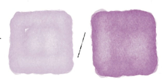 "Révélez le Secret des Violets Colorés: Chaud et Froid!" Sur mon blog "Aquarelle Mode d'Emploi", découvrez "Maîtriser l'art du mélange en aquarelle Chapitre 2". Explorez mon dessin détaillé pour réaliser des violets colorés chauds et froids avec une combinaison de couleurs. Ne manquez pas cette technique pour enrichir votre palette de nuances!