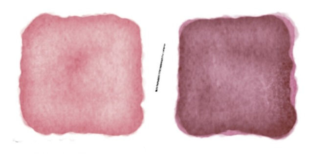 "Révélez le Secret des Violets Colorés: Chaud et Froid!" Sur mon blog "Aquarelle Mode d'Emploi", découvrez "Maîtriser l'art du mélange en aquarelle Chapitre 2". Explorez mon dessin détaillé pour réaliser des violets colorés chauds et froids avec une combinaison de couleurs. Ne manquez pas cette technique pour enrichir votre palette de nuances!