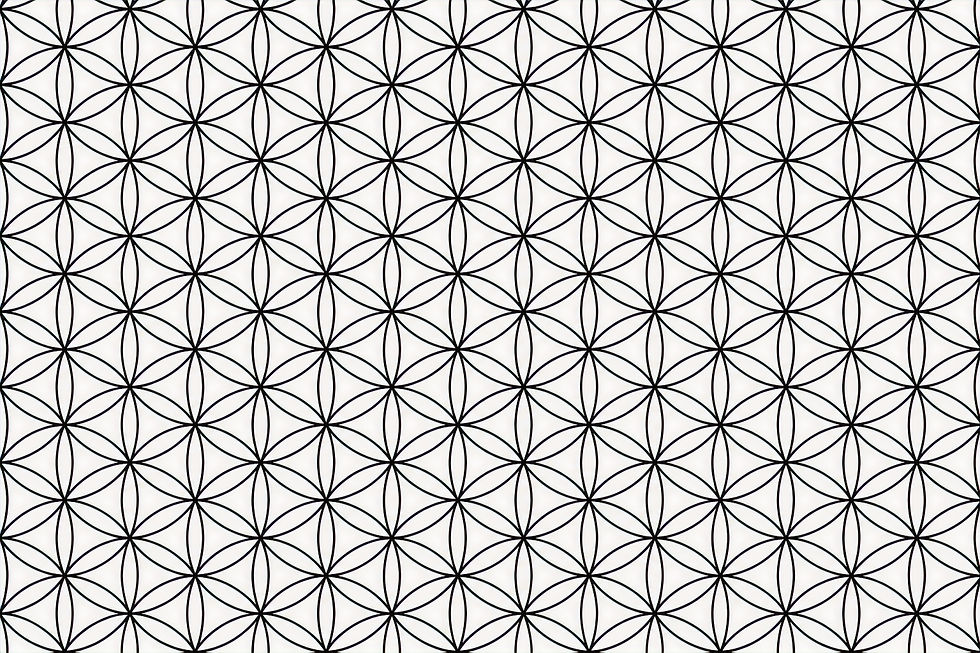 FLower of life black_edited.jpg